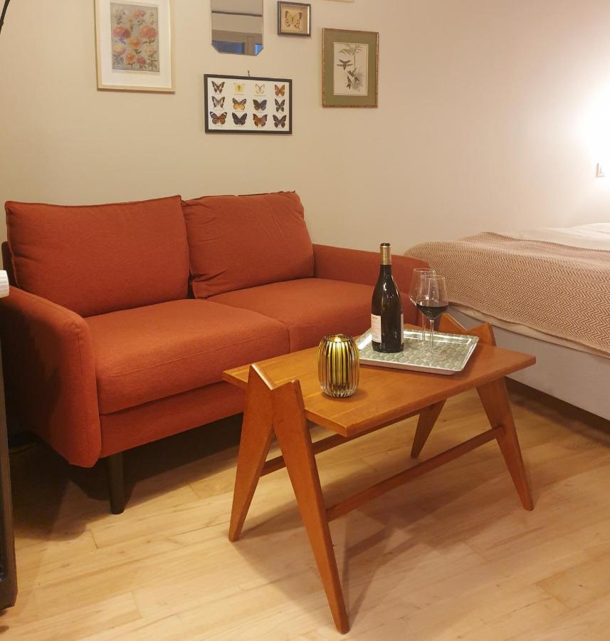 Maisonnette Cosy Coeur Centre Avec Accueil Velo 쏘뮤흐 외부 사진